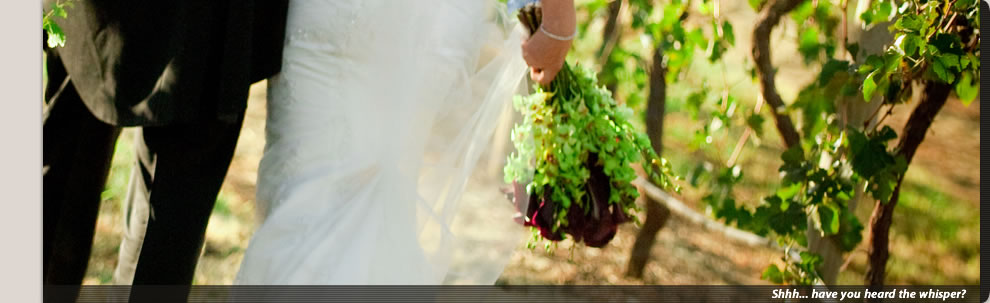 Whispering Brook's stunning Cellar Door